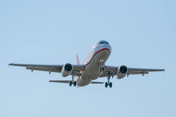 Discover Yorkshire's Farming Gems: A Complete Guide to Celebrating Traditional British Agriculture